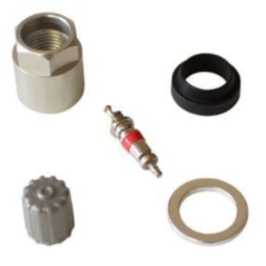 Zestaw naprawczy zaworu TPMS Pacific